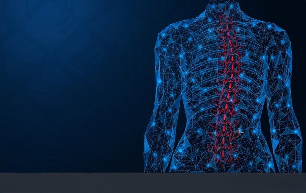 Terms & Conditions Banner